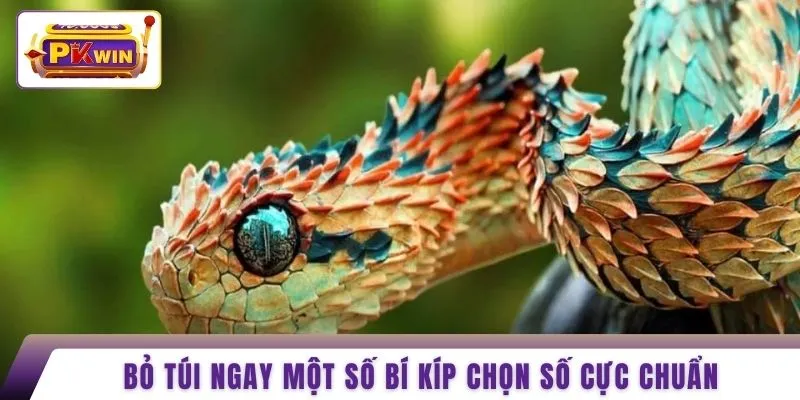 Bỏ túi ngay một số bí kíp chọn số cực chuẩn