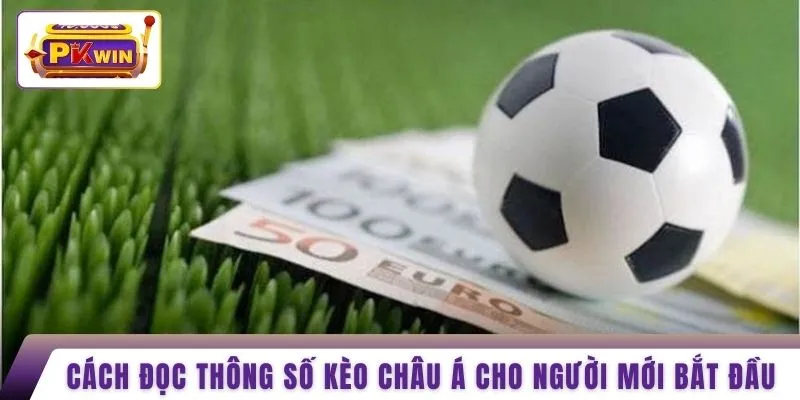 Cách đọc thông số kèo Châu Á cho người mới bắt đầu