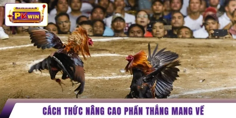 Cách thức nâng cao phần thắng mang về