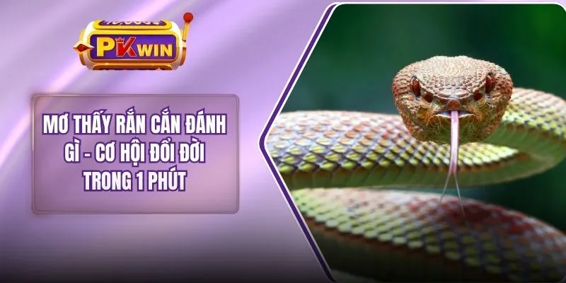 Mơ Thấy Rắn Cắn Đánh Gì – Cơ Hội Đổi Đời Trong 1 Phút